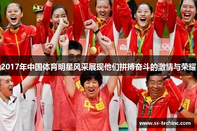 2017年中国体育明星风采展现他们拼搏奋斗的激情与荣耀
