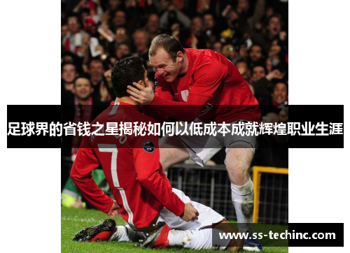 足球界的省钱之星揭秘如何以低成本成就辉煌职业生涯
