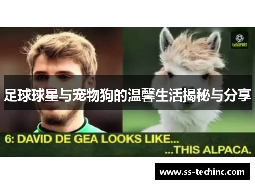 足球球星与宠物狗的温馨生活揭秘与分享