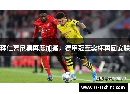 拜仁慕尼黑再度加冕，德甲冠军奖杯再回安联