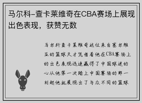 马尔科-查卡莱维奇在CBA赛场上展现出色表现，获赞无数