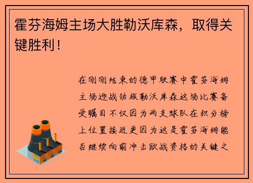 霍芬海姆主场大胜勒沃库森，取得关键胜利！